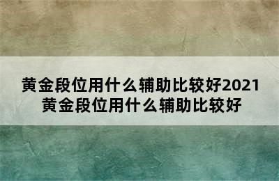 黄金段位用什么辅助比较好2021 黄金段位用什么辅助比较好